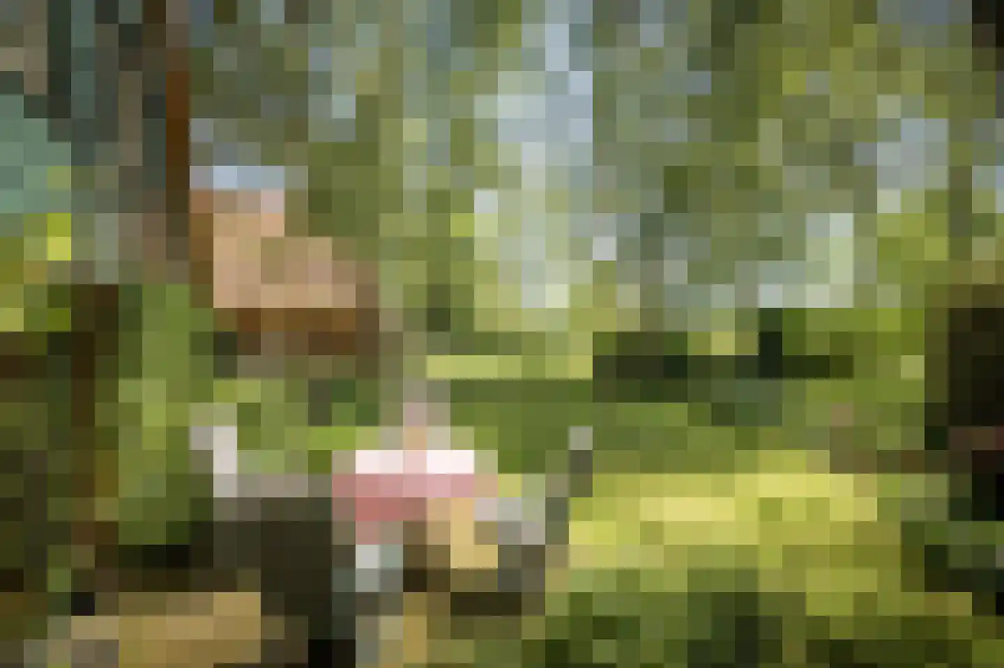 Schuttestraat 28 Vorden thumbnail 17