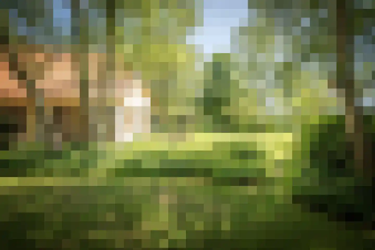 Schuttestraat 28 Vorden thumbnail 18