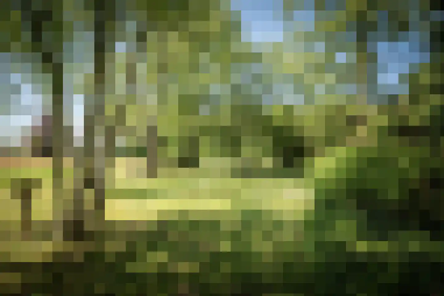 Schuttestraat 28 Vorden thumbnail 19