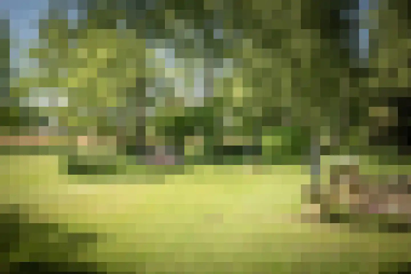 Schuttestraat 28 Vorden thumbnail 23