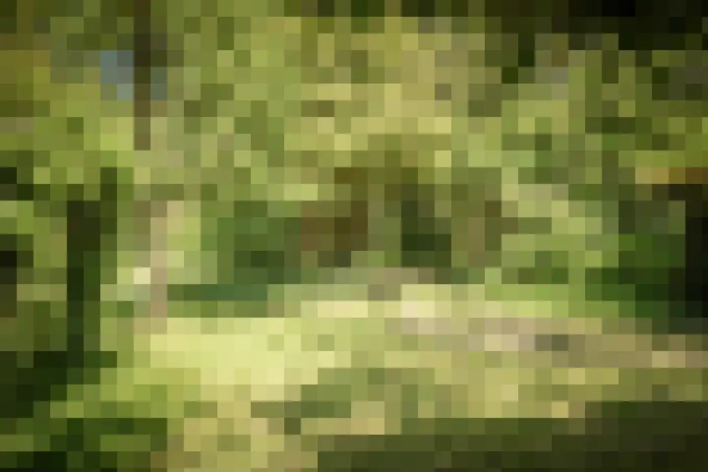 Schuttestraat 28 Vorden thumbnail 24