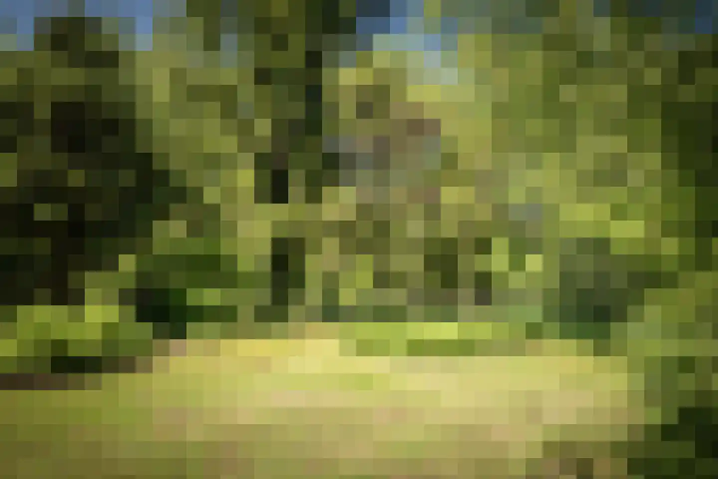 Schuttestraat 28 Vorden thumbnail 25