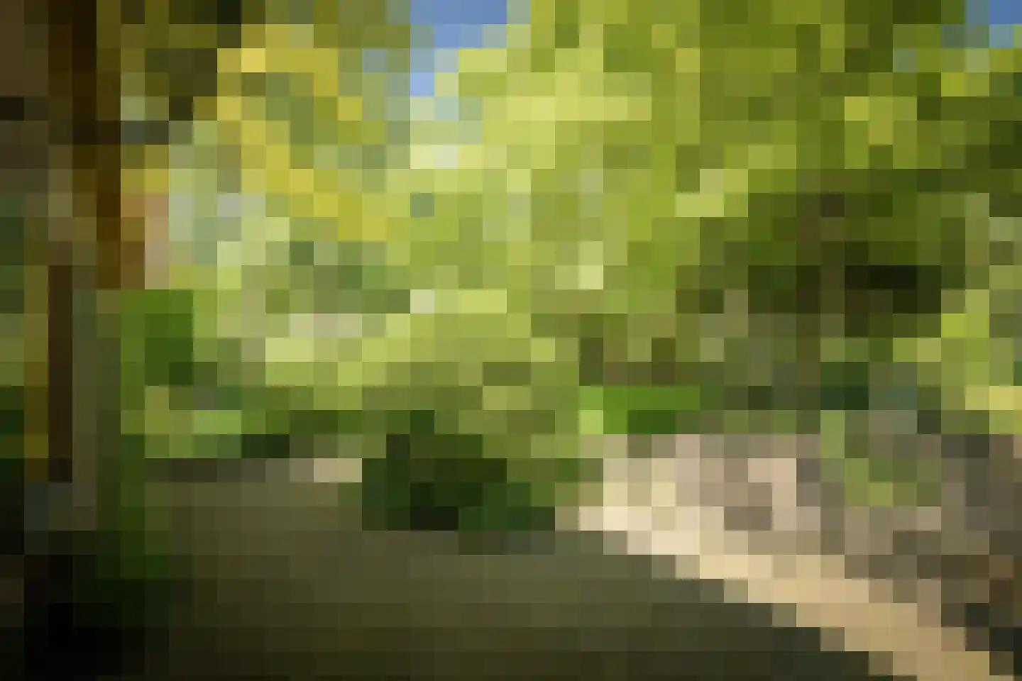 Schuttestraat 28 Vorden thumbnail 26