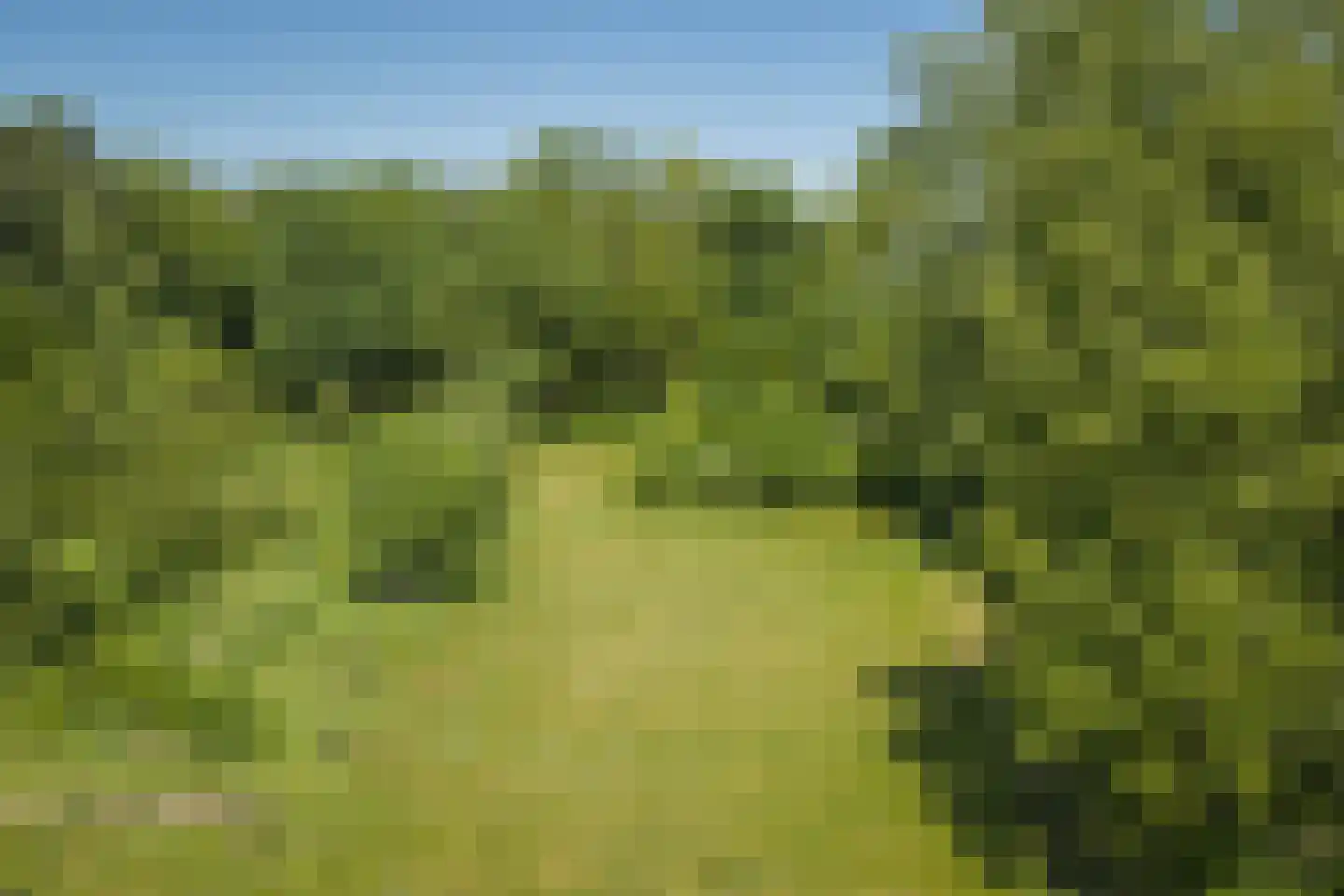 Schuttestraat 28 Vorden thumbnail 30