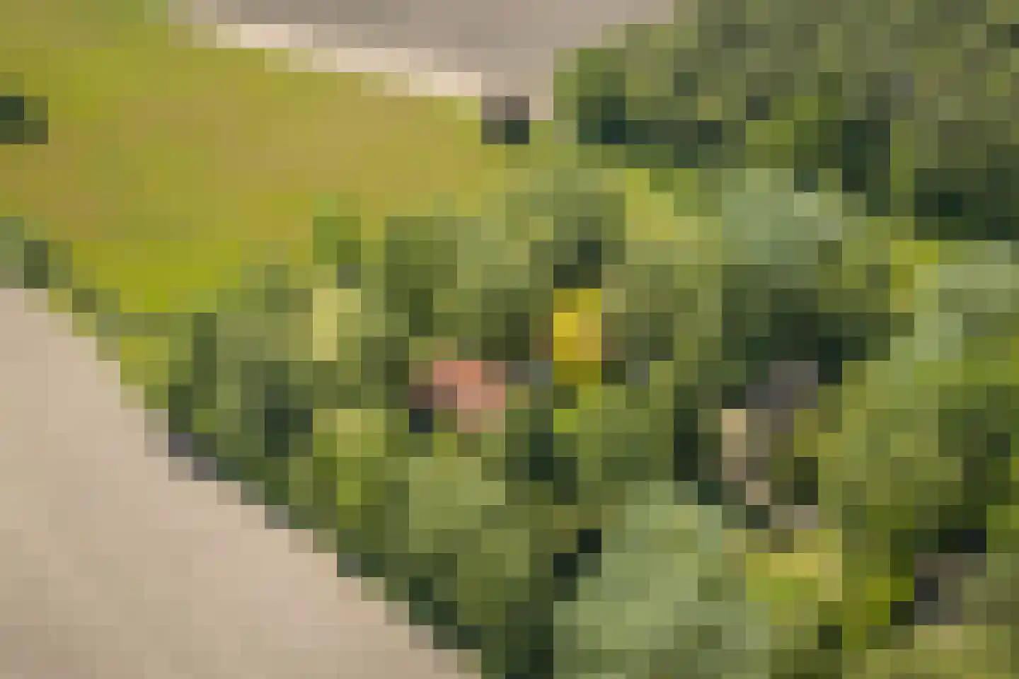 Schuttestraat 28 Vorden thumbnail 31