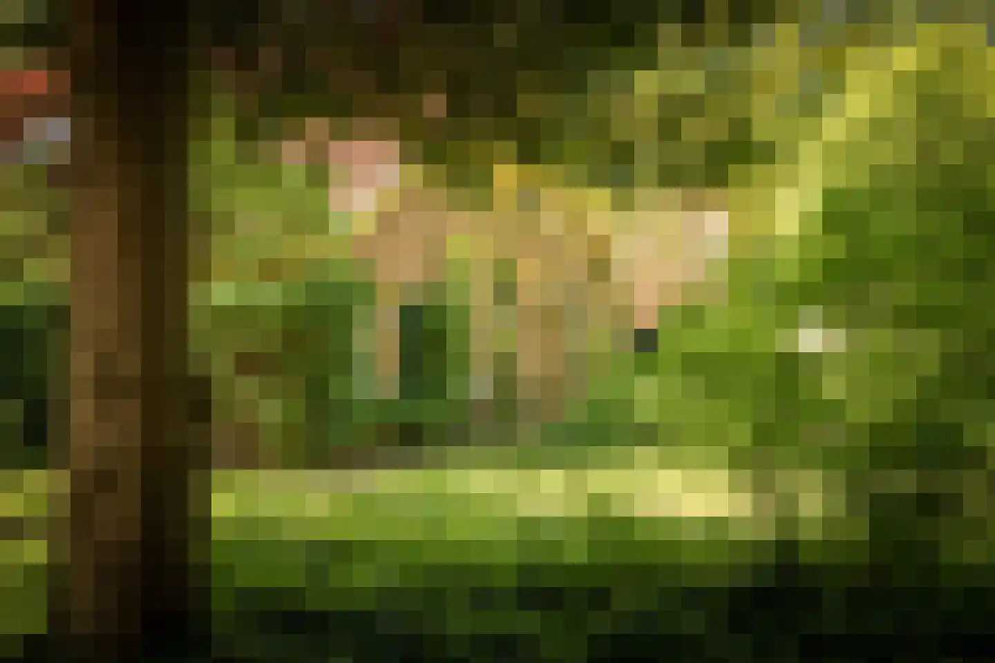 Schuttestraat 28 Vorden thumbnail 32