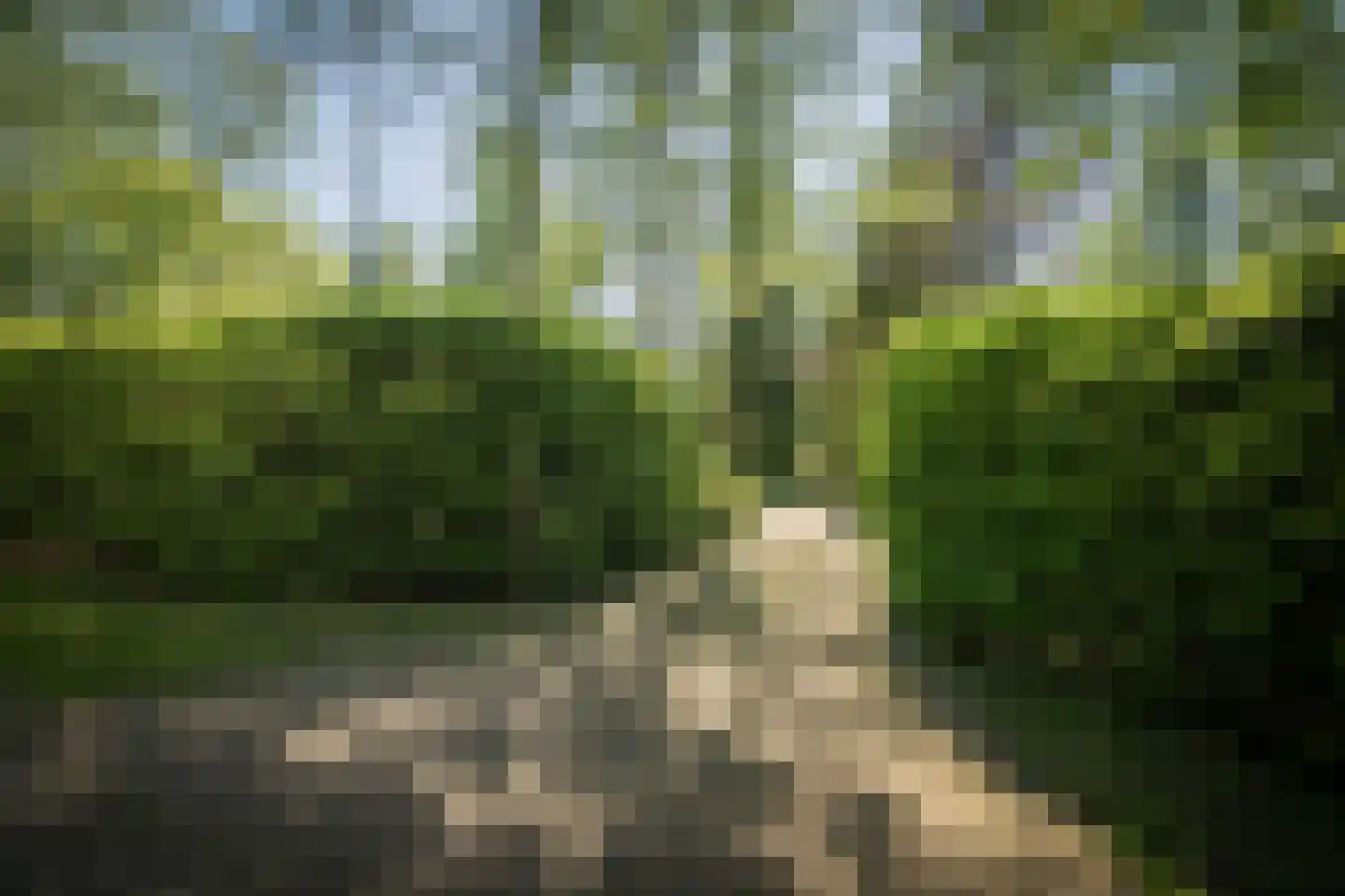 Schuttestraat 28 Vorden thumbnail 33