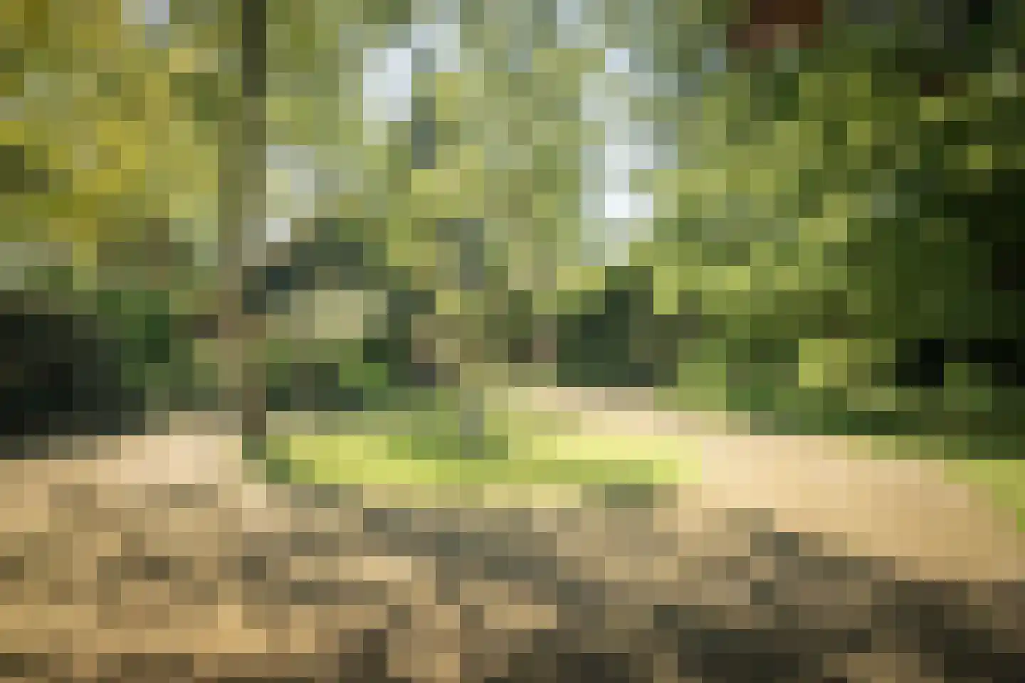 Schuttestraat 28 Vorden thumbnail 34