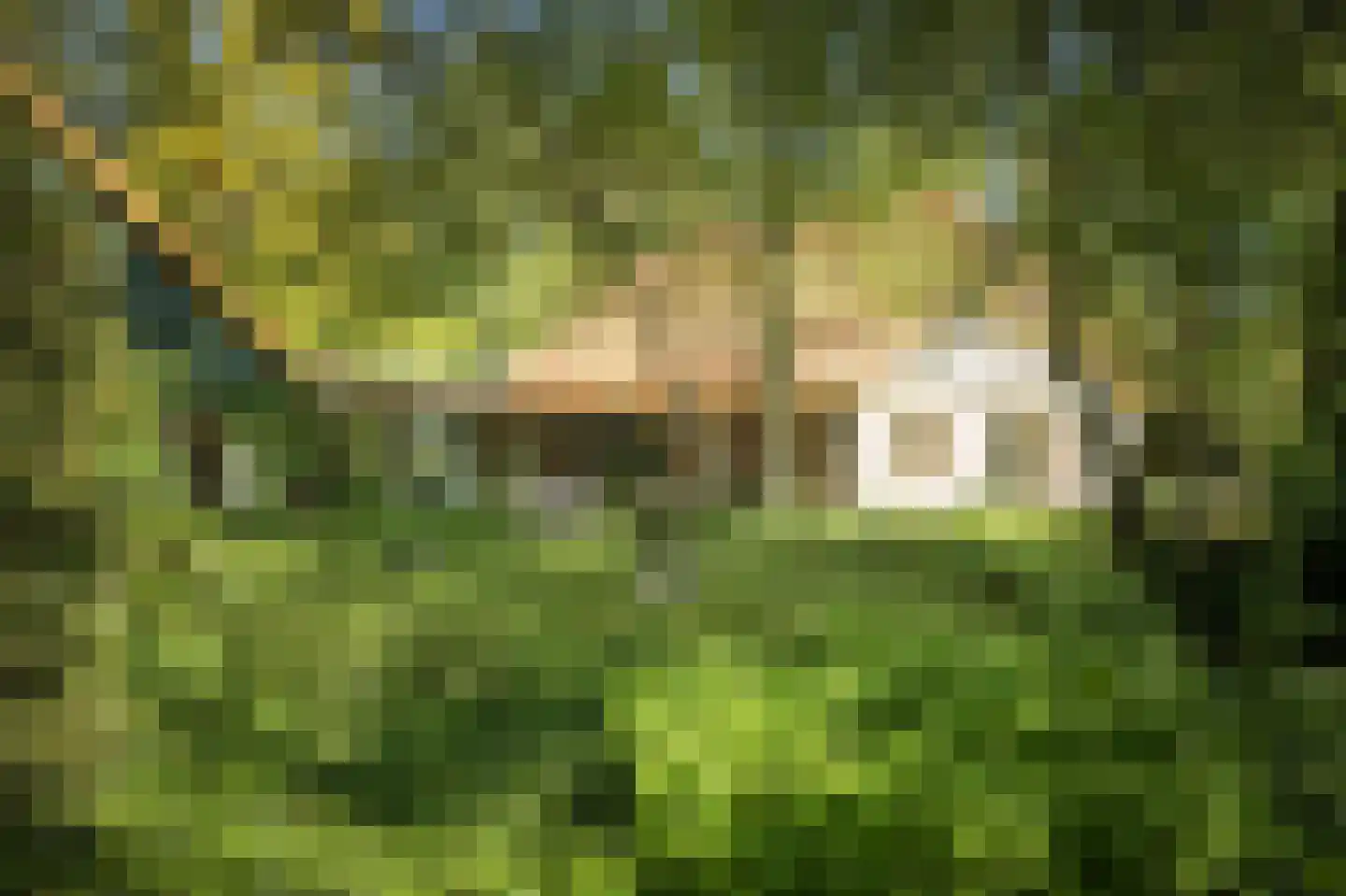 Schuttestraat 28 Vorden thumbnail 4