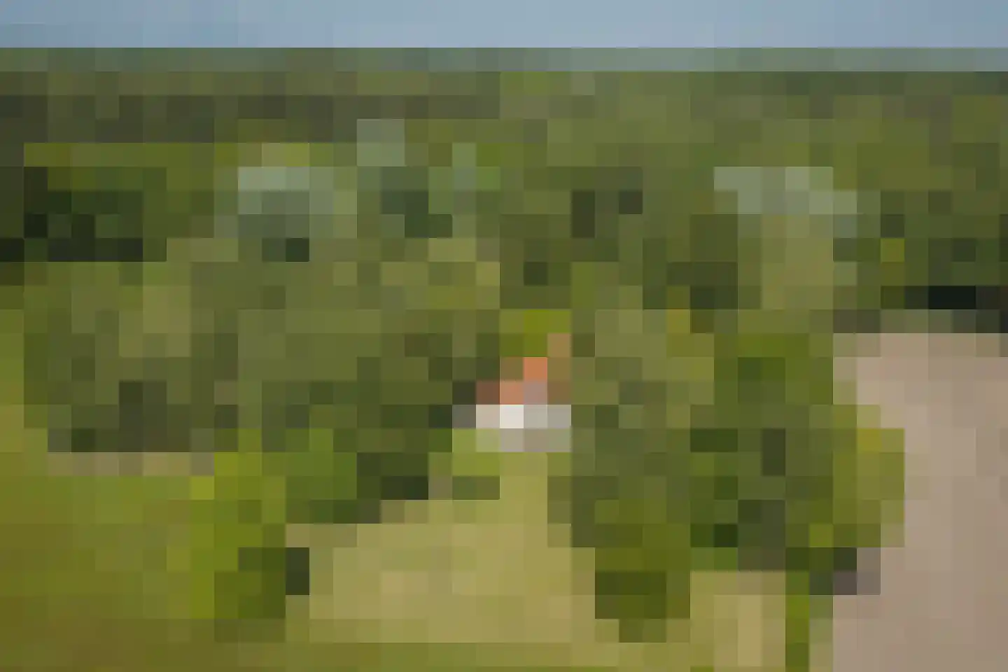 Schuttestraat 28 Vorden thumbnail 5