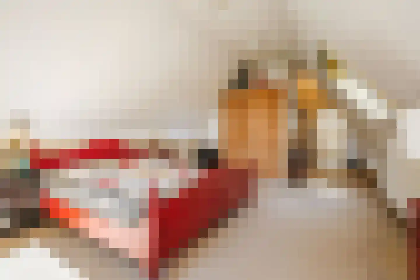 Schuttestraat 28 Vorden thumbnail 53