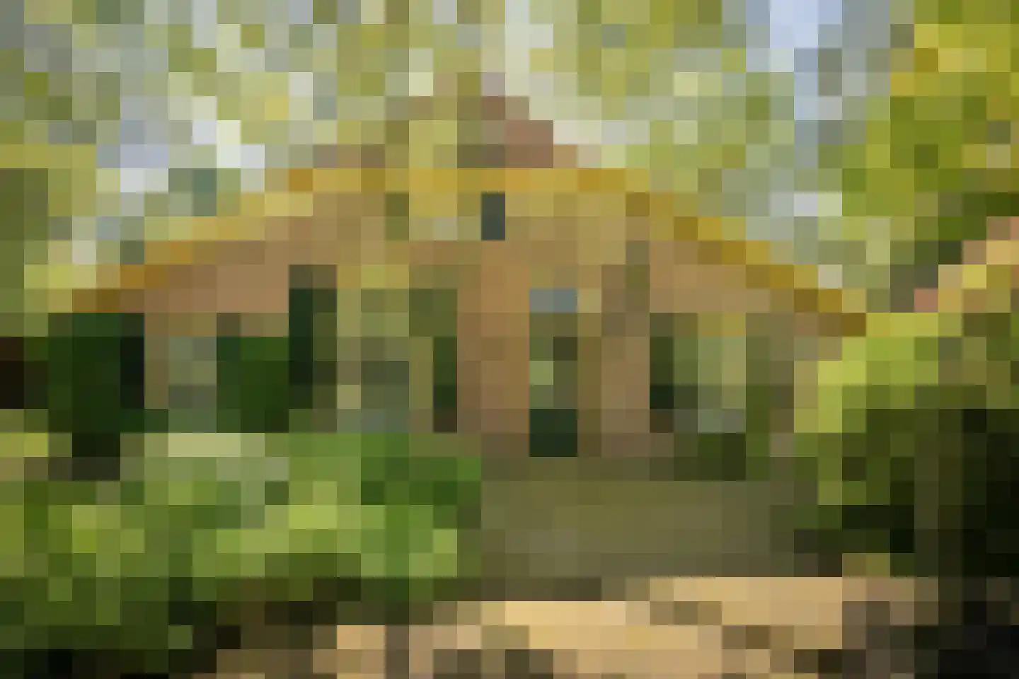 Schuttestraat 28 Vorden thumbnail 6