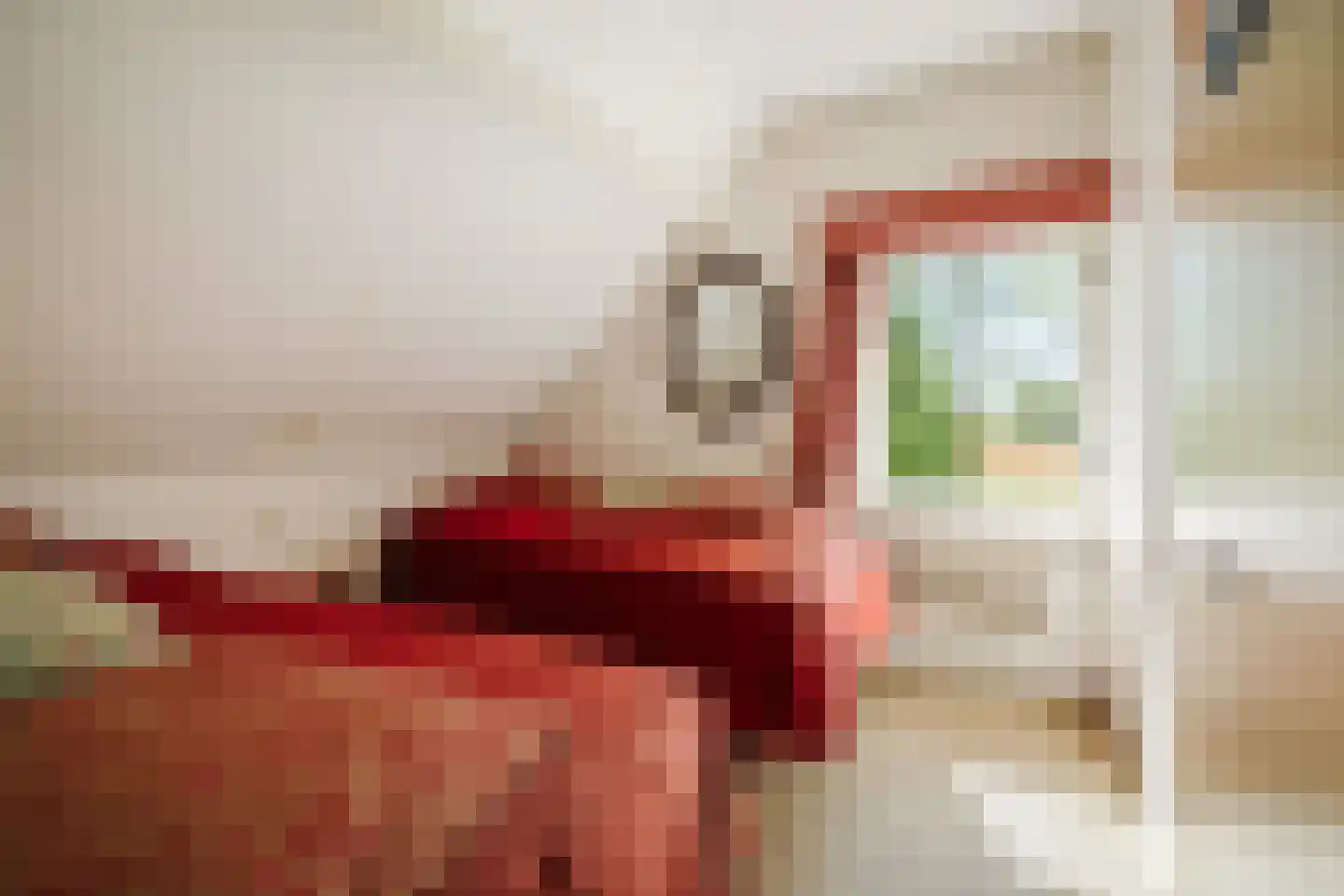 Schuttestraat 28 Vorden thumbnail 62