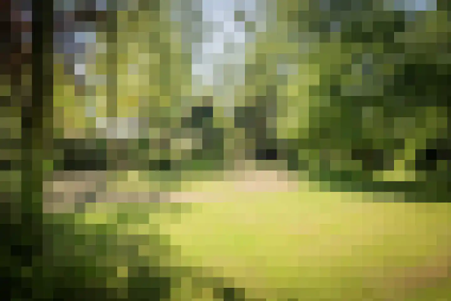 Schuttestraat 28 Vorden thumbnail 65
