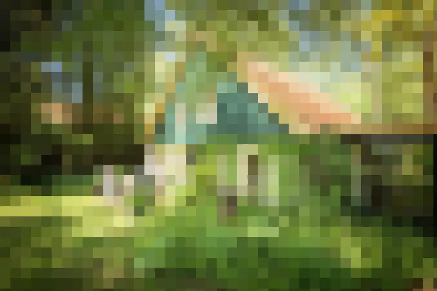 Schuttestraat 28 Vorden thumbnail 66