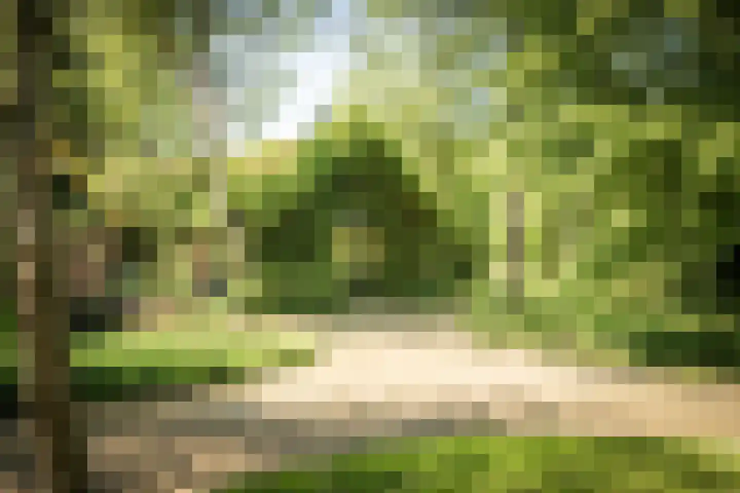 Schuttestraat 28 Vorden thumbnail 67