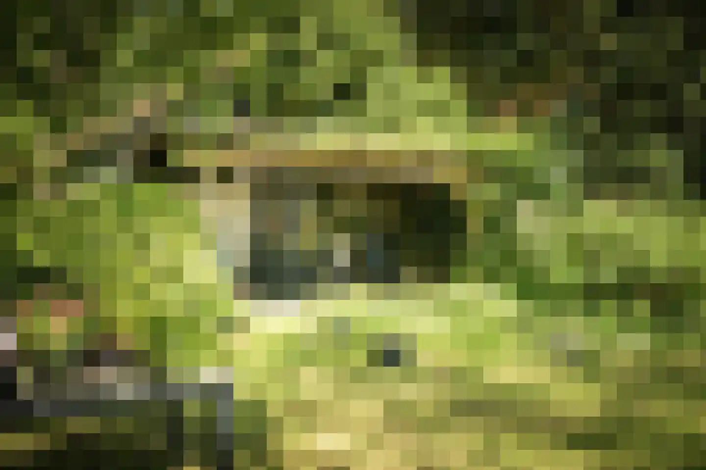 Schuttestraat 28 Vorden thumbnail 68