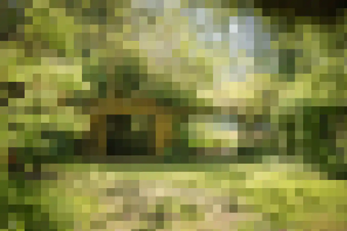 Schuttestraat 28 Vorden thumbnail 69