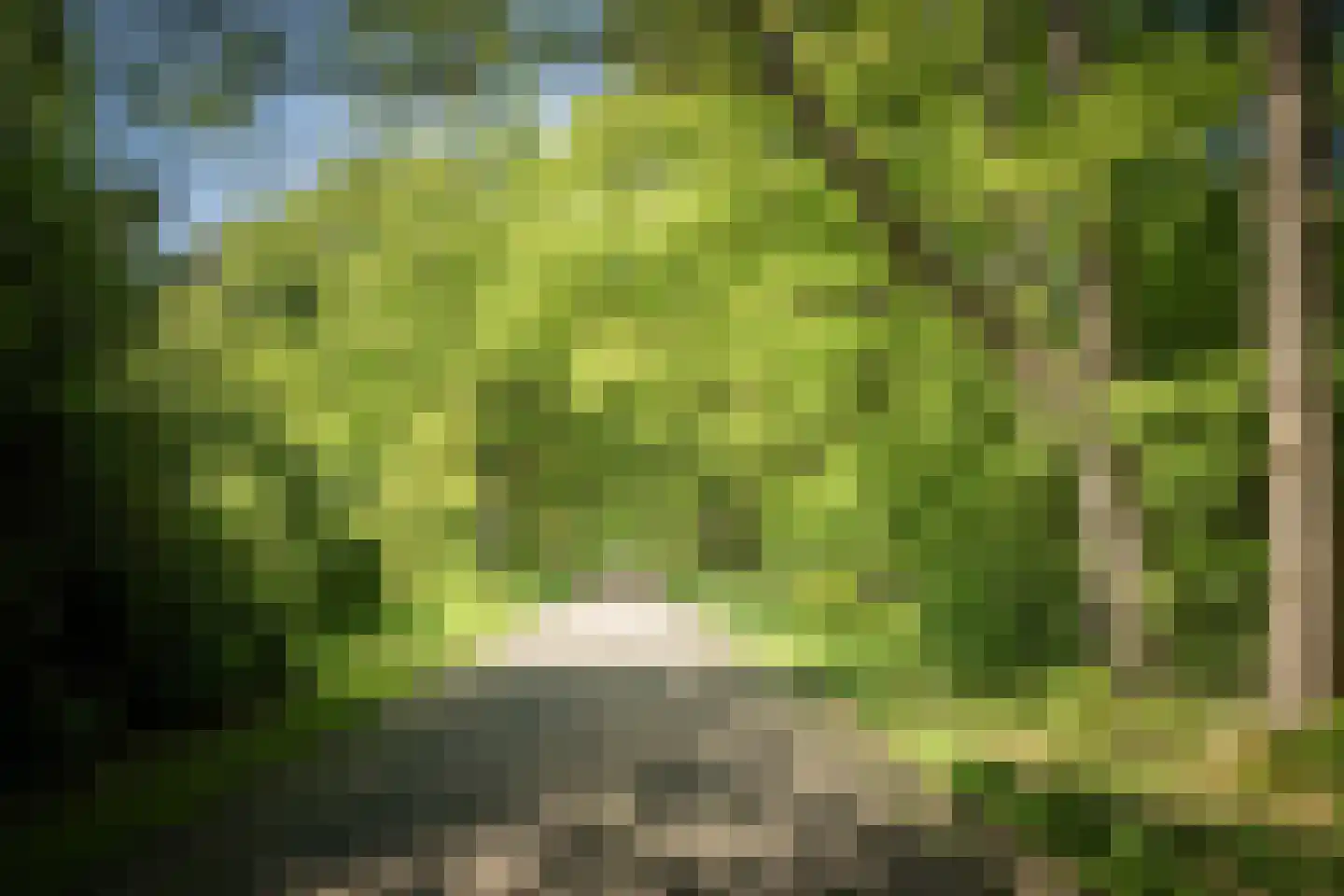Schuttestraat 28 Vorden thumbnail 70