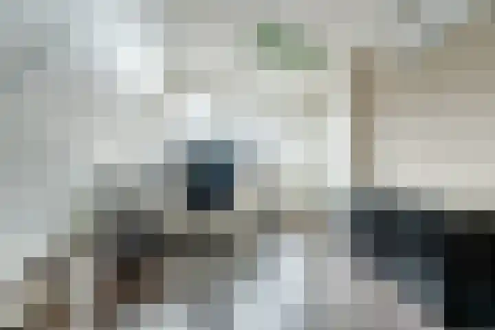 Schuttevaer 18 Hoogeveen thumbnail 32