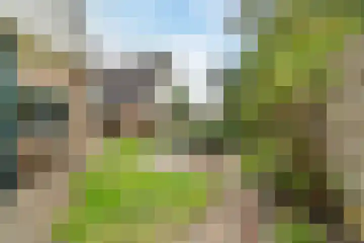 Schuttevaer 18 Hoogeveen thumbnail 45