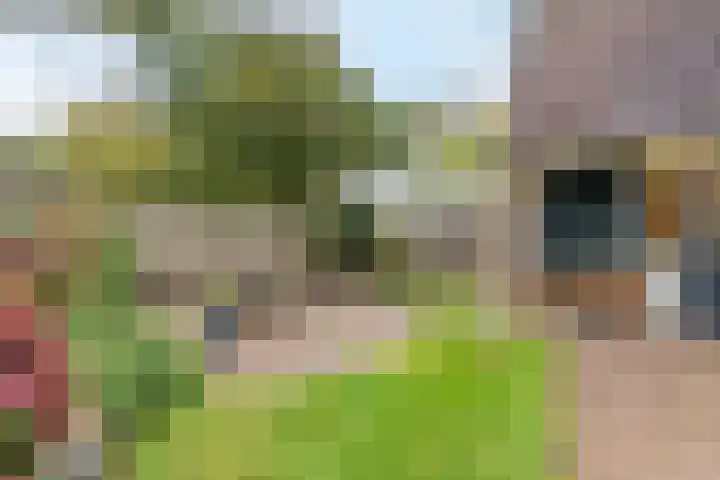 Schuttevaer 18 Hoogeveen thumbnail 46