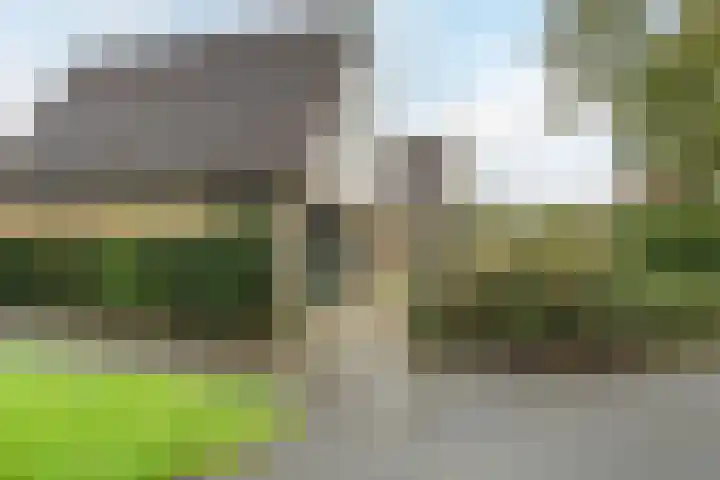 Schuttevaer 18 Hoogeveen thumbnail 47