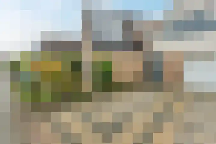Schuttevaer 18 Hoogeveen thumbnail 9