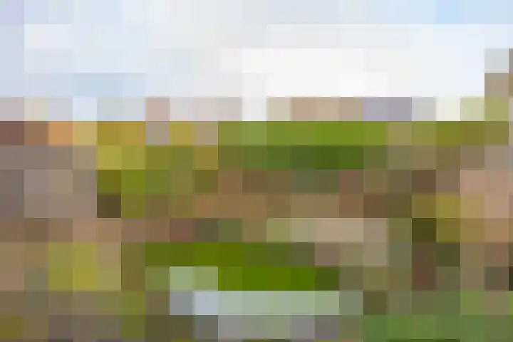 Schuttevaer 28 a Hoogeveen thumbnail 47