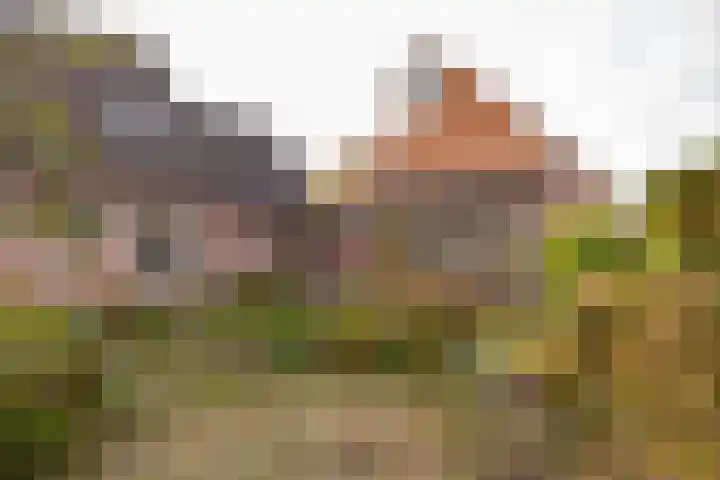 Schuttevaer 28 a Hoogeveen thumbnail 48