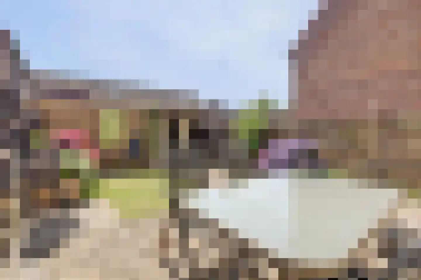 Schuttevaer 41 Hoogeveen thumbnail 34