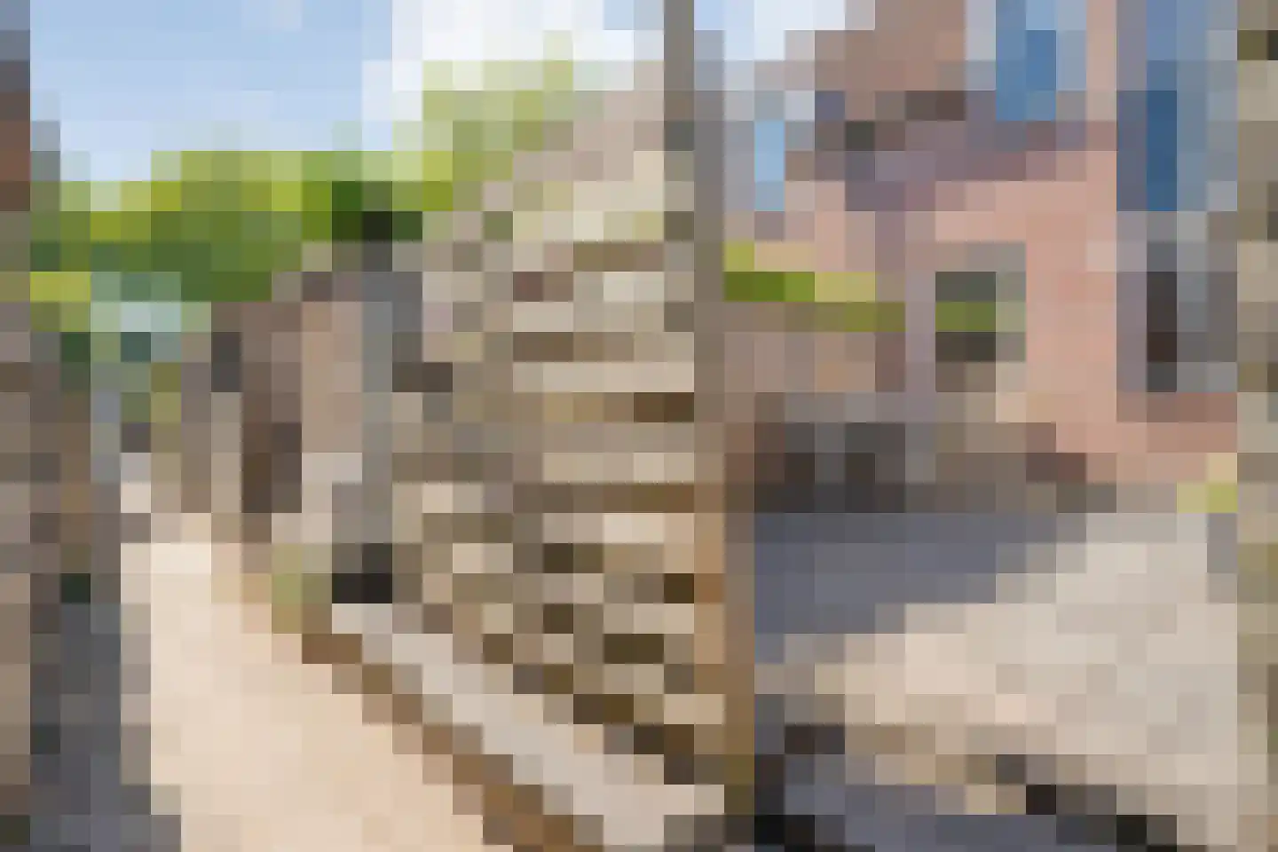 Schuttevaer 55 Hoogeveen thumbnail 30