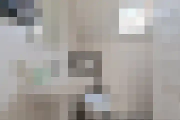 Schuttevaer 57 Hoogeveen thumbnail 33