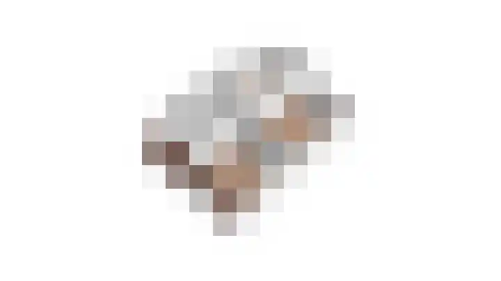 Schuttevaer 57 Hoogeveen thumbnail 64