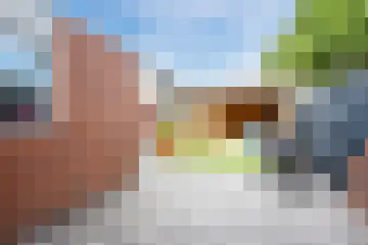 Schuttevaer 93 Hoogeveen thumbnail 47