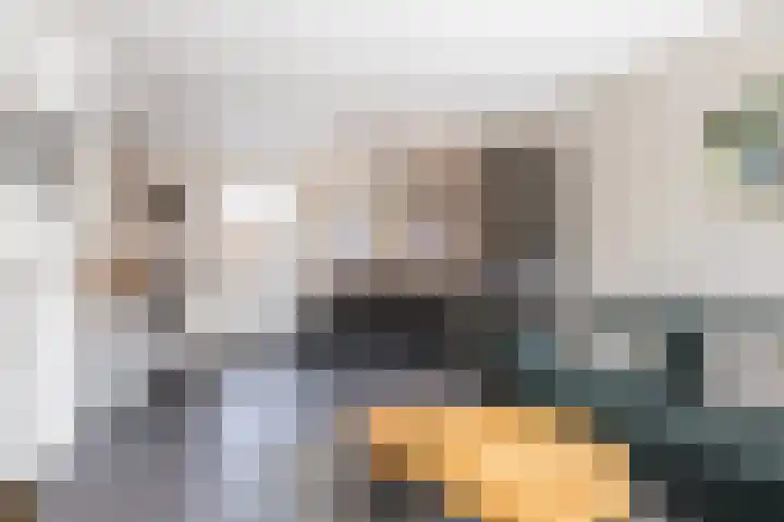 Schuttevaer 93 Hoogeveen thumbnail 5