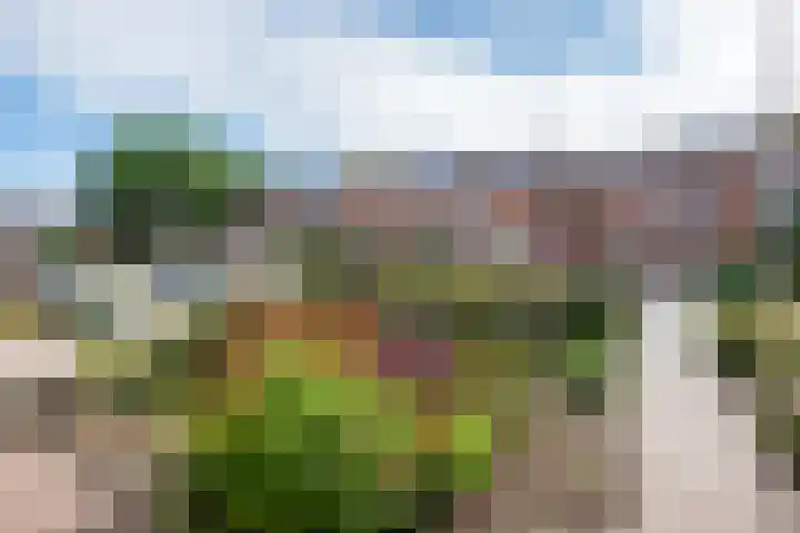 Schuttevaer 93 Hoogeveen thumbnail 54