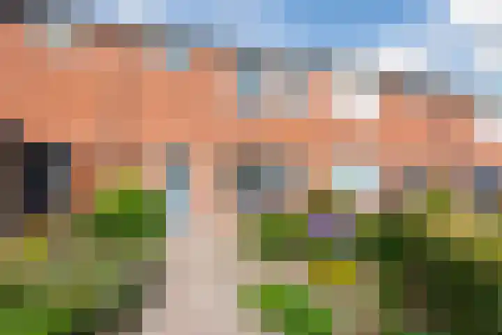 Schuttevaer 93 Hoogeveen thumbnail 55