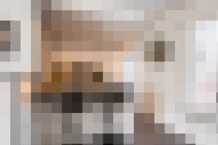 Schuttevaer 93 Hoogeveen thumbnail 8