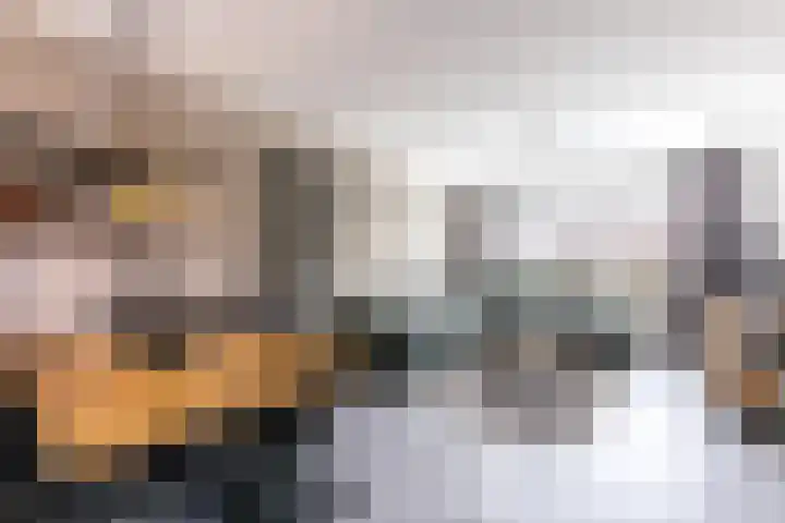 Schuttevaer 93 Hoogeveen thumbnail 9
