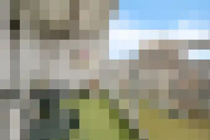 Schuttevaerkade 111 Zwolle thumbnail 16