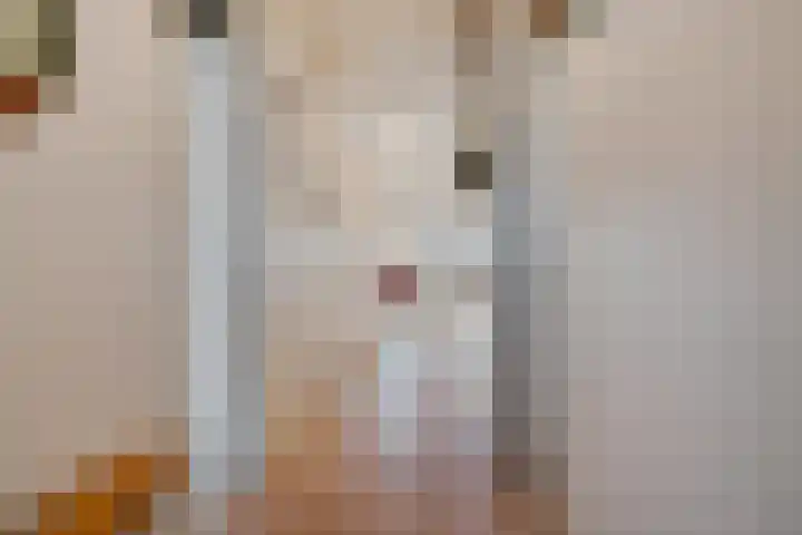 Schuttevaerkade 111 Zwolle thumbnail 17