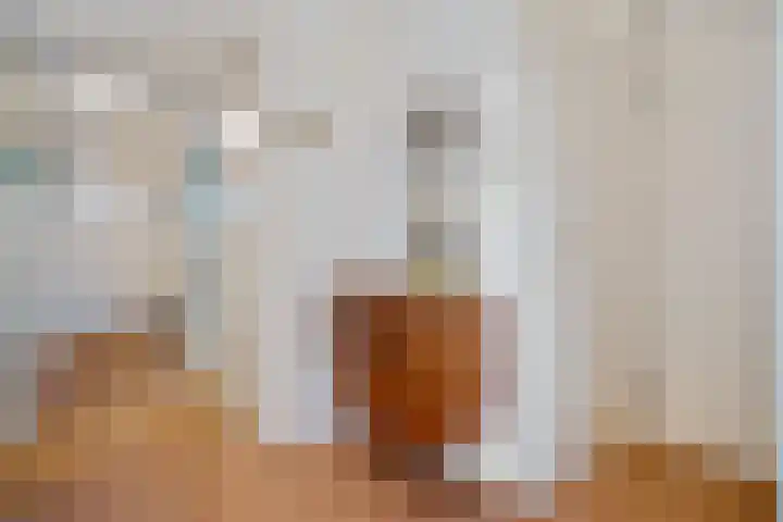 Schuttevaerkade 111 Zwolle thumbnail 18
