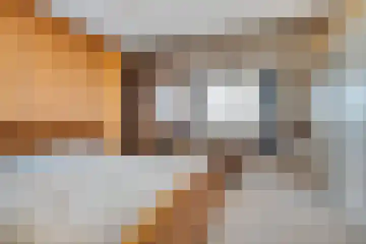 Schuttevaerkade 111 Zwolle thumbnail 21
