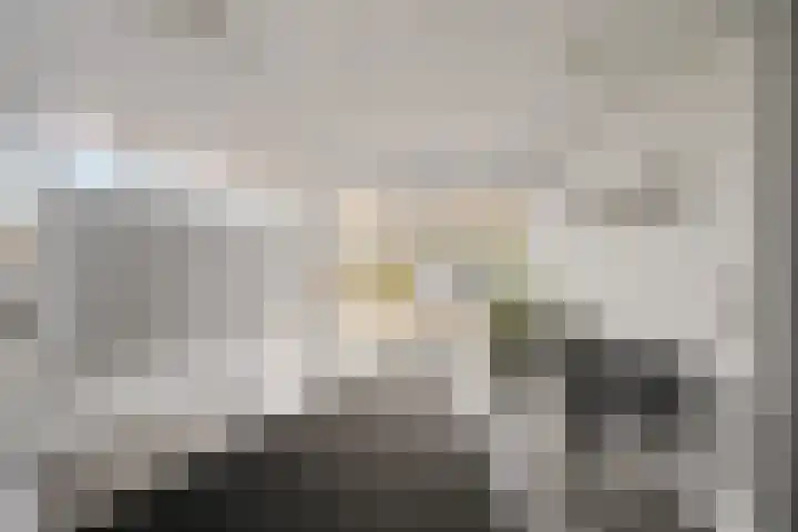 Schuttevaerkade 111 Zwolle thumbnail 35