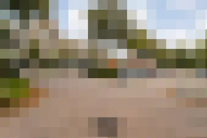 Schuttevaerkade 117 Zwolle thumbnail 10