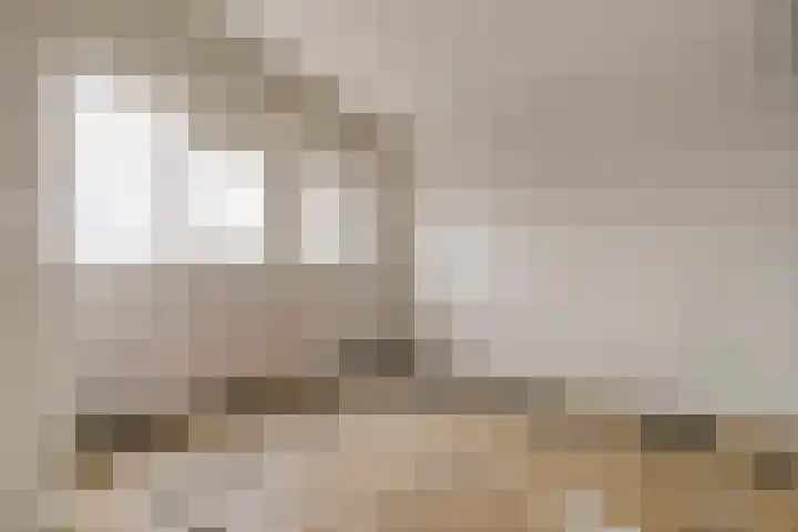 Schuttevaerkade 117 Zwolle thumbnail 15