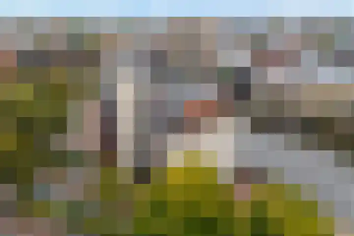 Schuttevaerkade 117 Zwolle thumbnail 8