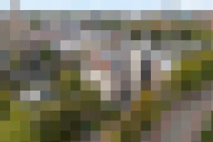 Schuttevaerkade 117 Zwolle thumbnail 9