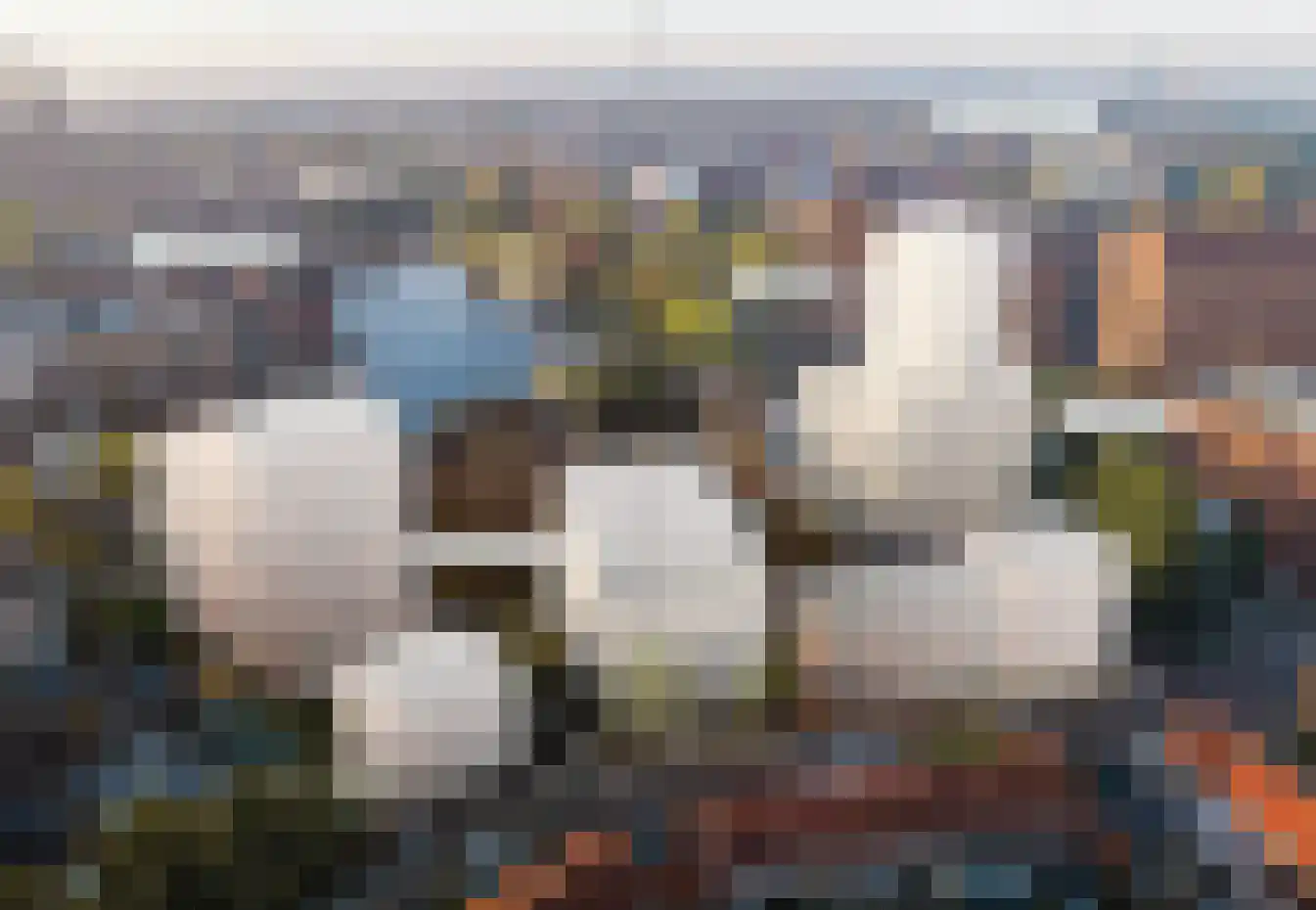 Schuttevaerkade 156 Zwolle thumbnail 14
